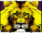 - รูปสัญลักษณ์ WILD เกม Fifty Lions